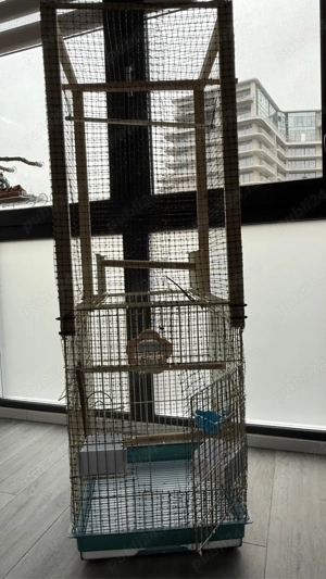 cusca perusi papagali - imagine 2