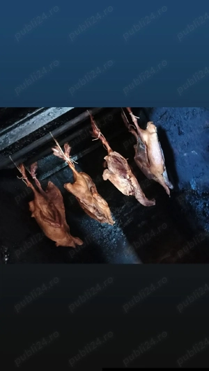 disponibile rațe afumate 