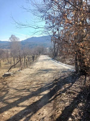 Teren de vanzare slatina arges  - imagine 4