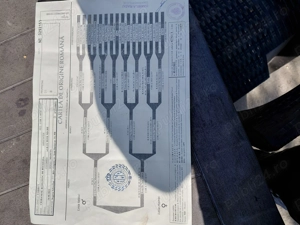 Vand ciobanesc bucovina cu pedigree - imagine 5