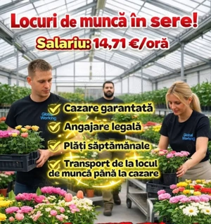 Cautam cupluri la  sortat de flori in seră 