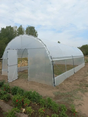 Distribuim solarii legume complete structura galvanizata folie 180 microni 3 ani garantie laterale a