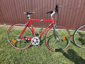 vand bicicleta import Italia 