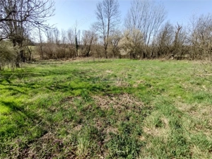 Rachitova, Casa 8 Incaperi, 3800mp Teren, Pret Negociabil - imagine 6