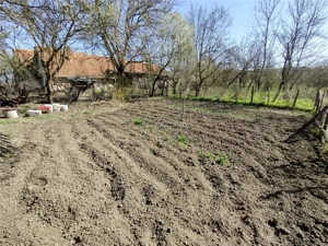 Rachitova, Casa 8 Incaperi, 3800mp Teren, Pret Negociabil - imagine 8