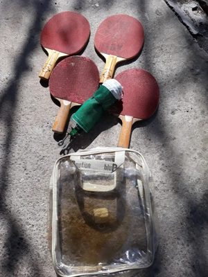 palete pi g-pong și plasă