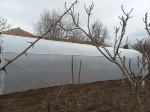 Distribuim solarii legume profesionale teava zincata folie UV 180 microni garantie 3 ani laterale ae