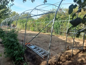 Vindem solar gradina complete structura galvanizata folie UV 180 microni 3 ani garantie kit complet 