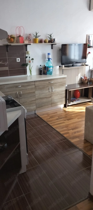 Apartament Luceafarul 1 camera de vanzare - imagine 3