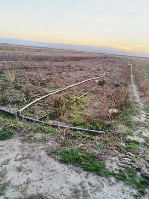 Teren Agricol de Vanzare Extravilan (Arabil), Fertil, 1 ha. - imagine 2