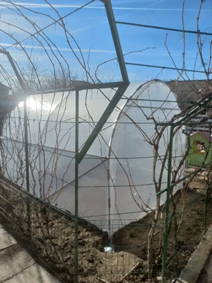 Oferim solar gradina complete teava galvanizata folie 180 microni 3 ani garantie laterale aerisire +