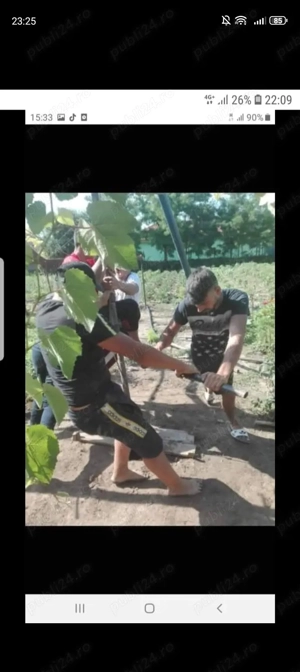 foraje puturi apa adrian 