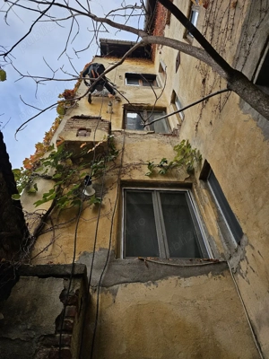 Alpinisti utilitari termoizolatii toaletare copaci alpinism utilitar - imagine 4