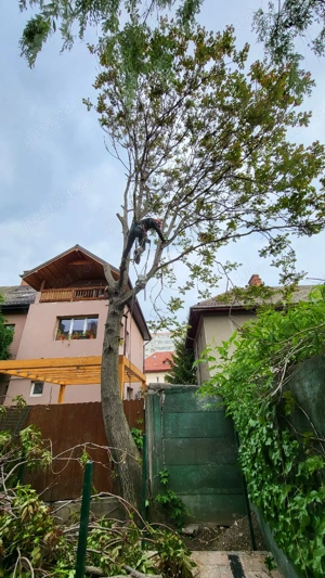 Alpinisti utilitari termoizolatii toaletare copaci alpinism utilitar - imagine 5