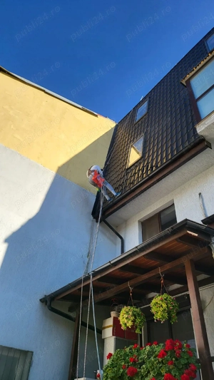 Alpinisti utilitari termoizolatii toaletare copaci alpinism utilitar - imagine 2