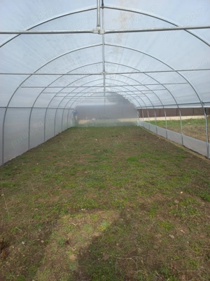 Oferim solarii legume profesionale teava galvanizata folie 180 microni garantie 3 ani kit complet mo - imagine 5