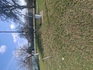 Casa plus teren si livada cu pomi fructiferi