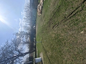 Casa plus teren si livada cu pomi fructiferi - imagine 2