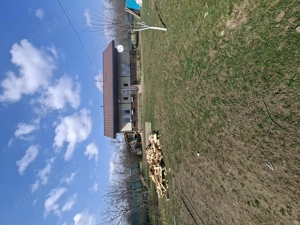 Casa plus teren si livada cu pomi fructiferi - imagine 4