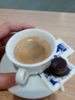 Domn prezentabil pentru întâlniri 