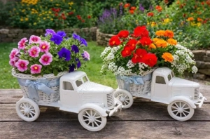 ceva frumos  la gagică sau la gemeie