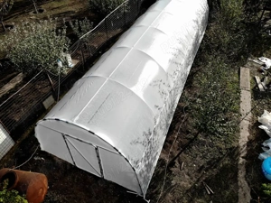 Producem solarii legume profesionale teava galvanizata folie UV 180 microni garantie 3 ani laterale 