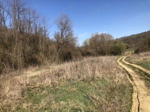 Teren de vanzare , Minis , Arad - imagine 3