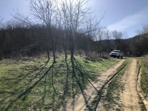 Teren de vanzare , Minis , Arad