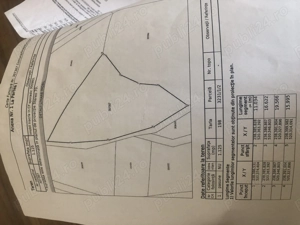 Teren de vanzare , Minis , Arad - imagine 5