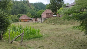 Vand casa de caramida la rosu si 3765mp teren intravilan - Valea Ariesului, AB - imagine 4