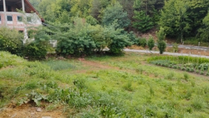 Vand casa de caramida la rosu si 3765mp teren intravilan - Valea Ariesului, AB - imagine 3