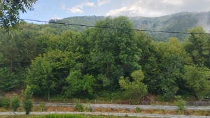 Vand casa de caramida la rosu si 3765mp teren intravilan - Valea Ariesului, AB - imagine 6