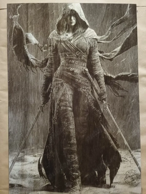 Umbre și ploaie-suflet de războinică