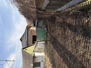 Vând casă bătrânească str Crinilor 36 - imagine 9