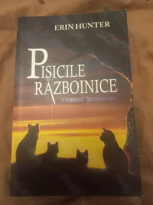 Erin Hunter - Pisicile Războinice - vol 4