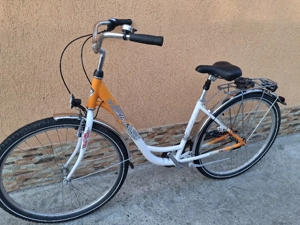 Bicicleta mckenzi