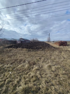 Teren intravilan și casa bătrânească cu gradina - imagine 2