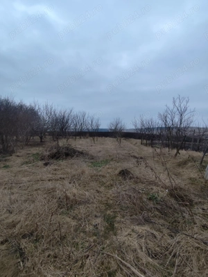 Teren intravilan și casa bătrânească cu gradina - imagine 5