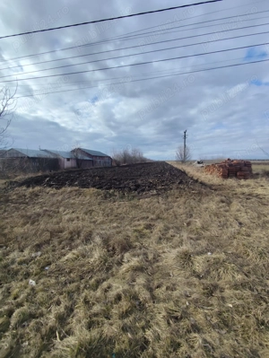 Teren intravilan și casa bătrânească cu gradina - imagine 4