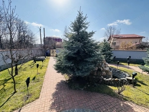 Vila superba, padure Rosu, 1000 mp teren, 310 mp construiti, Chiajna - imagine 2