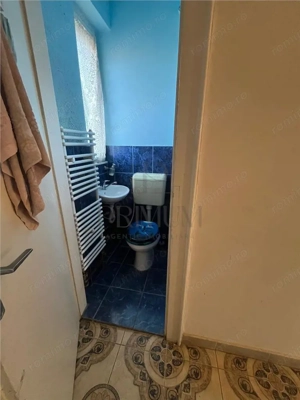 IOSEFIN - 3 CAM - ETJ.1 - 2BAI - BOXA - CURTE - CENTRALA - SUPER SPATIOS - CLADIRE ISTORICA - imagine 8