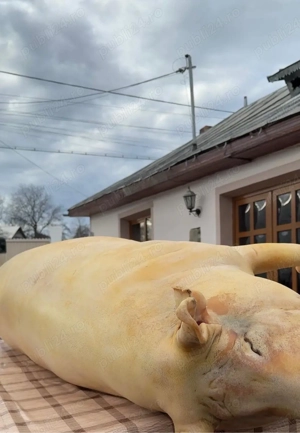 Carne de porc bio - imagine 2