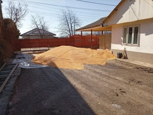 Vând porumb boabe de calitate și uscate