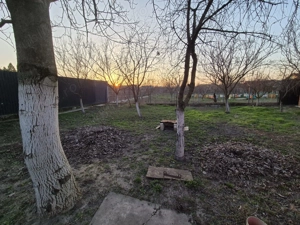 Casă la sol utilata, Micălaca, teren 765 mp, front 27 m, 0% comision - imagine 8