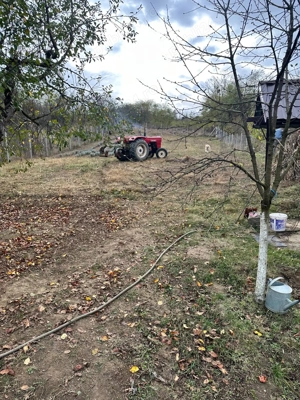 2 Case + 3074 mp | 110.000   | Oportunitate rara in zona Corcova - imagine 9