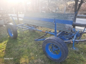 Straf pentru cal - imagine 3