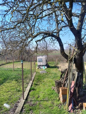 Proprietar vand casa in Bodrogu Nou,   - imagine 2