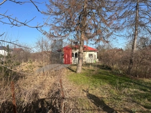 Teren 2600 mp + casa – Satul Saftica - imagine 4