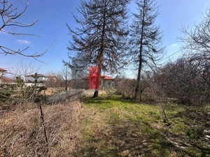 Teren 2600 mp + casa – Satul Saftica - imagine 2