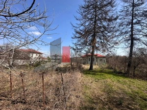 Teren 2600 mp + casa – Satul Saftica - imagine 5